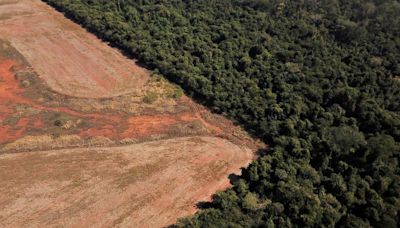 Desmatamento da Amazônia cai 46% em 1 ano Por Poder360