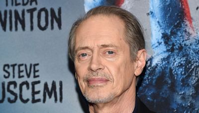 Steve Buscemi Punched In The Face In New York City In 'Random Act Of Violence'