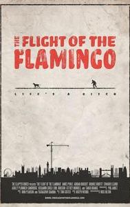 The Flight of the Flamingo