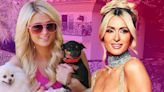 Los lujos de los chihuahuas de Paris Hilton: ¡tienen una mansión propia!