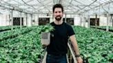 Lionel Mora, co-founder of French startup Neoplants, poses for a portrait inside the greenhouse where they grow the Marble Queen pothos plants in Lodi, California