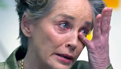 Sharon Stone reveló que lucha por superar sus problemas de salud mental: “Todos estamos tratando de enfrentar nuestros demonios”