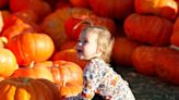 Carving up some Halloween fun in SLO County? Here’s where to pick your own pumpkins