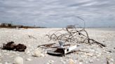 How did Hurricane Ian affect the 'Seashell Capital'? Experts worry about Florida wildlife