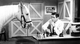 Alan Young: 12 Facts About the 'Mister Ed' Star | Woman's World