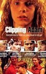 Clipping Adam