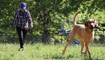 Animal control eager to roll out new field return program