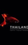 Thailand: Earth's Tropical Paradise