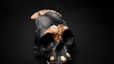 I was part of the team that found the Homo naledi child's skull: how we did it