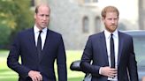 Prince William and Prince Harry's heartbreak as family death revealed