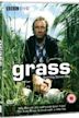 Grass (TV series)