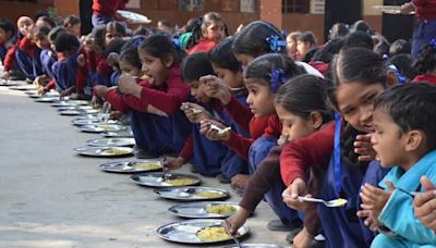 Dead snake found in mid-day meal packet, claim parents; probe launched