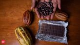 Sweet Profits, Bitter Reality: Who gains the most from the cocoa price surge?