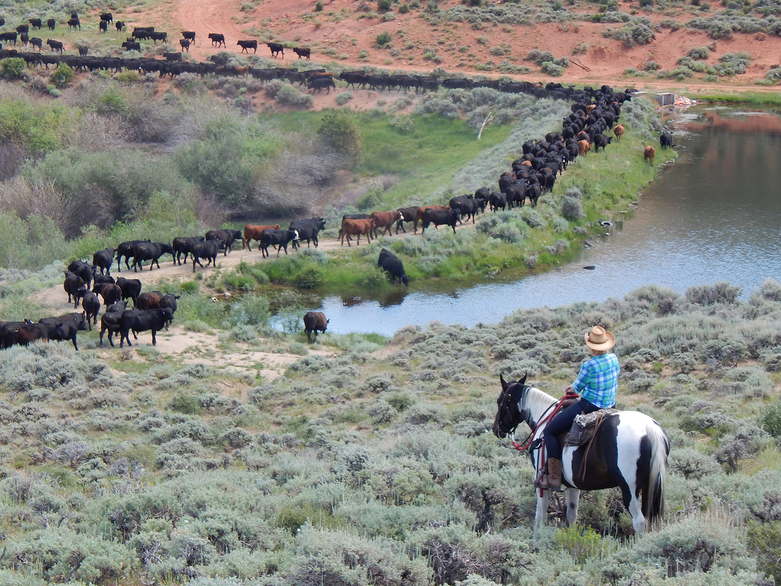 A Road Trip in Wyoming Celebrates Its Women's Voting History