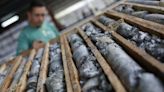 Panamá "necesita" un nuevo código minero sin "prácticas obsoletas", dicen los empresarios