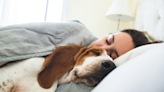 Rescued Basset Hound’s First Time Snuggling With Mom Is a True Gift