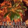 Florida Burning: A Florida Thriller (Will Harper Mystery Series #3)