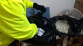 La Policía de Bogotá encontró 30 kilos de medicamentos falsos en Kennedy