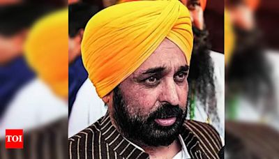 Mass Resignation at Punjab CMO: Communications Director and Media Relations Head Exit | Chandigarh News - Times of India