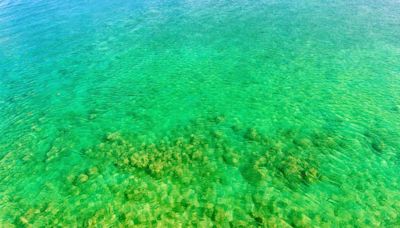 Know why mysteriously the ocean are turning blue to green