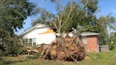 Elderly Rogers couple could lose home after tree falls on it