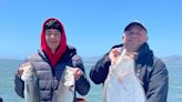 'Another fantastic day on the bay': Halibut, striped bass fishing sizzles in San Fransisco