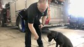 Erie Bureau of Fire adds Horus, a four-legged firefighter, to aid fire scene investigations