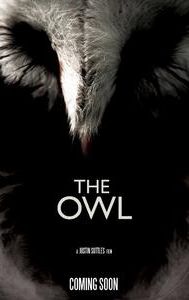 The Owl