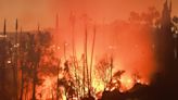 Oeste de Estados Unidos bajo alerta por avance de varios incendios forestales