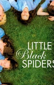 Little Black Spiders