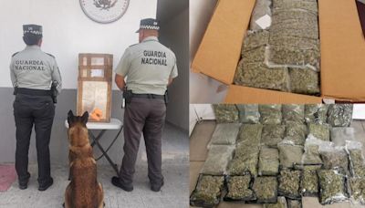 Asegura GN 12 kilos de marihuana en aeropuerto de SLP