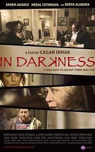 In Darkness (2009 film)