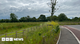 Taunton's Nexus 25 business park still empty field five years on