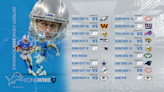 Here is the Detroit Lions 2022 regular season schedule