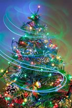 'Tis the Season for Christmas Tree Lightings | LongIsland.com