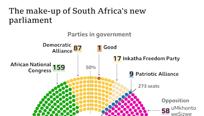 South African MP suspended for racist language