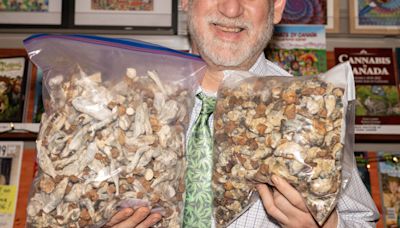 Vancouver’s Latest Tourist Attraction Is Its Illegal Mushroom Stores