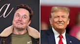 Elon Musk will laut Bericht 45 Millionen Dollar pro Monat an Trump-Kampagne spenden