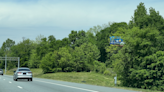 Billboard companies want to cut more trees along NC roads. One kind of tree in particular