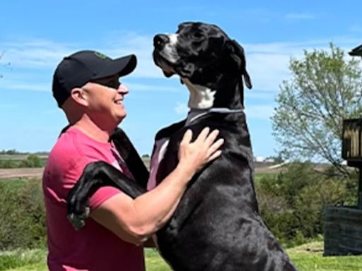 World's tallest dog Kevin dies at three, months after breaking record