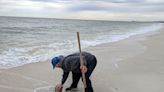 Hurricane Ian six months later: Is bacteria still in Gulf of Mexico in SWFL?