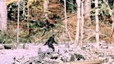 Army vet Sasquatch hunter reveals terrifying encounter with 'Bigfoot'
