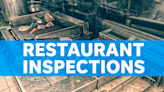 Which New Castle County restaurants have had the most violations in the past 30 days?