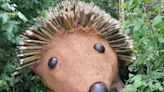 Truro roundabout hedgehog to star at Chelsea Flower Show