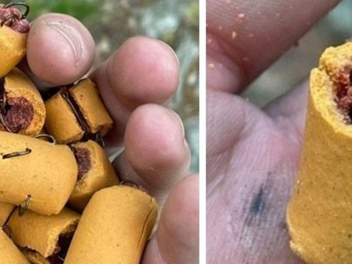 Fish hooks found in dog treats on Appalachian Trail in Lehigh County, Pennsylvania