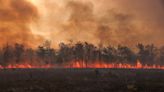 Fogos em cinco países causaram 292 mortos. Emissões mundiais de carbono subiram 16%