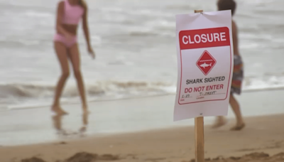 At least 2 shark sightings reported in San Clemente