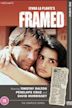 Framed (TV series)