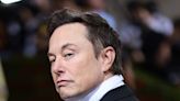 Conservatives and anti-vaxxers are frantically lobbying Elon Musk to lift Twitter bans on their idols after he took over