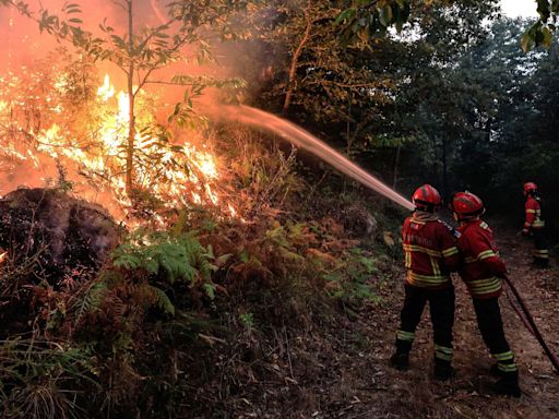 Thousands of firefighters battle 'raging' wildfires across Portugal